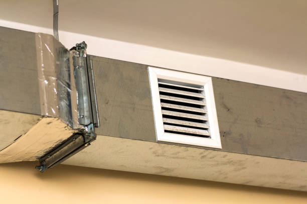 Best Air Duct Mold Removal  in Lake Elmo, MN